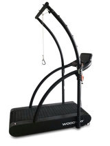 Woodway 4Front Treadmill