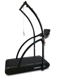 Woodway 4Front Treadmill