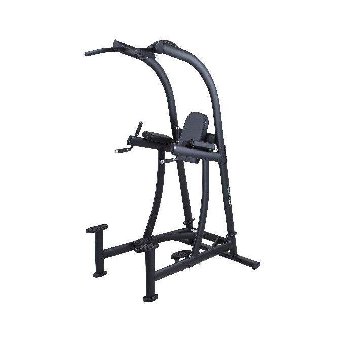 SportsArt A994 Performance Series Leg Raise/Chin Dip
