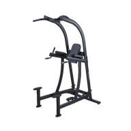SportsArt A994 Performance Series Leg Raise/Chin Dip