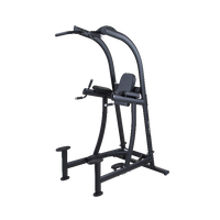 SportsArt A994 Performance Series Leg Raise/Chin Dip
