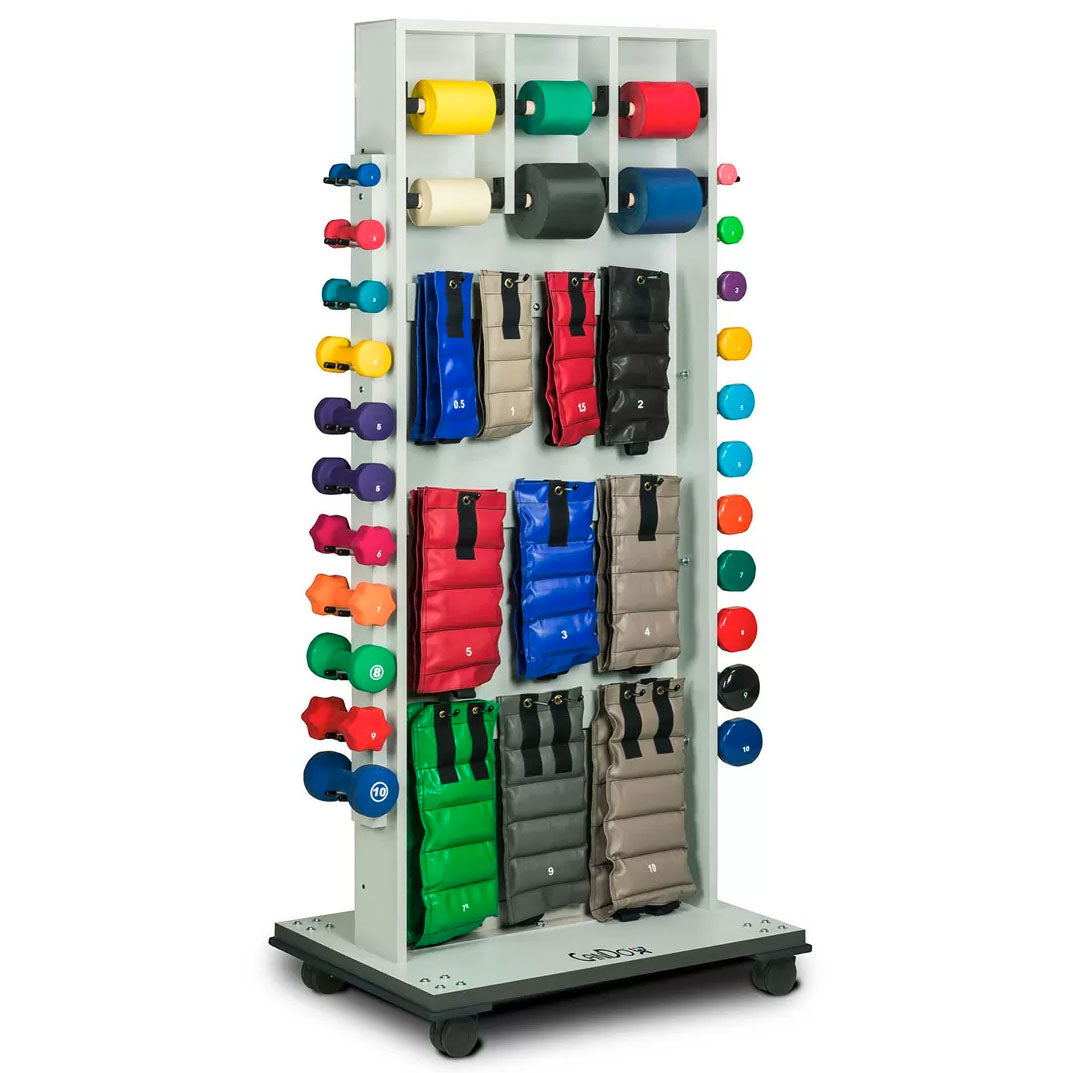 TheraKit Mobile Treatment Storage Rack with Mirror
