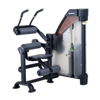 SportsArt N931 Status Series Ab Crunch